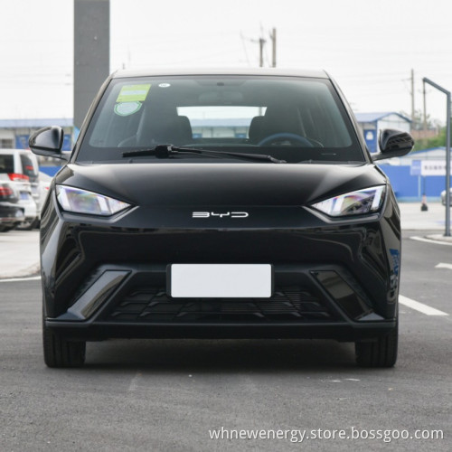 Высококачественный и горячая продажа Электрический автомобиль для Byd Seagull 2023 Flying Type